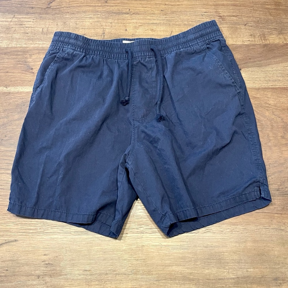 Abercrombie and Fitch Shorts Blue Medium